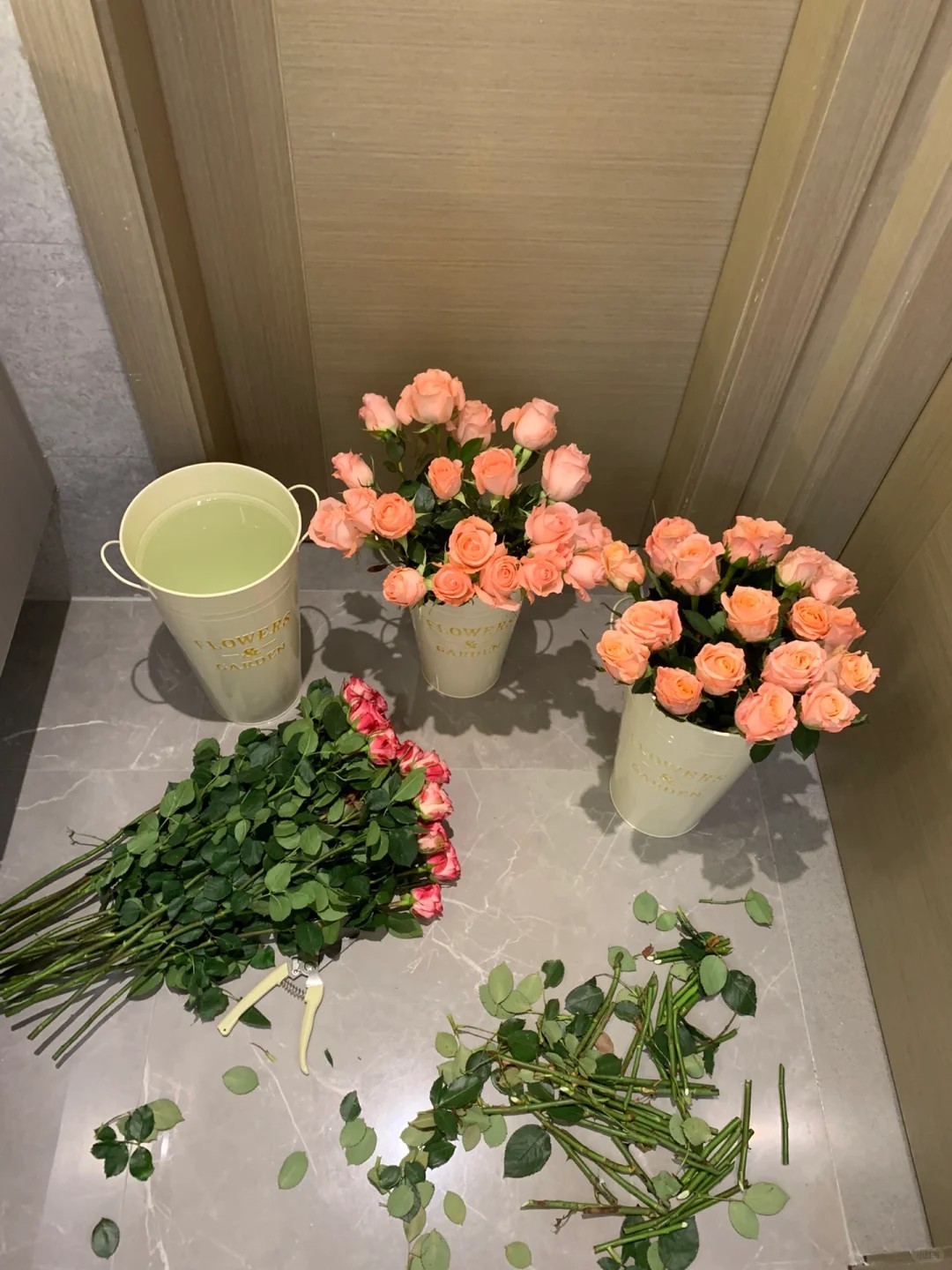 Tips for keeping your roses fresh and thriving!