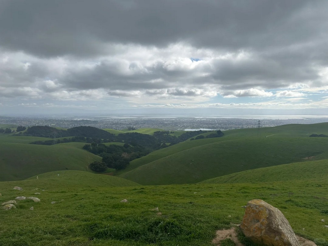 almost got yeeted by a cow while hiking—how tho??