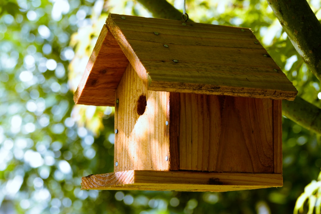 bought a birdhouse for my backyard, will they move in?