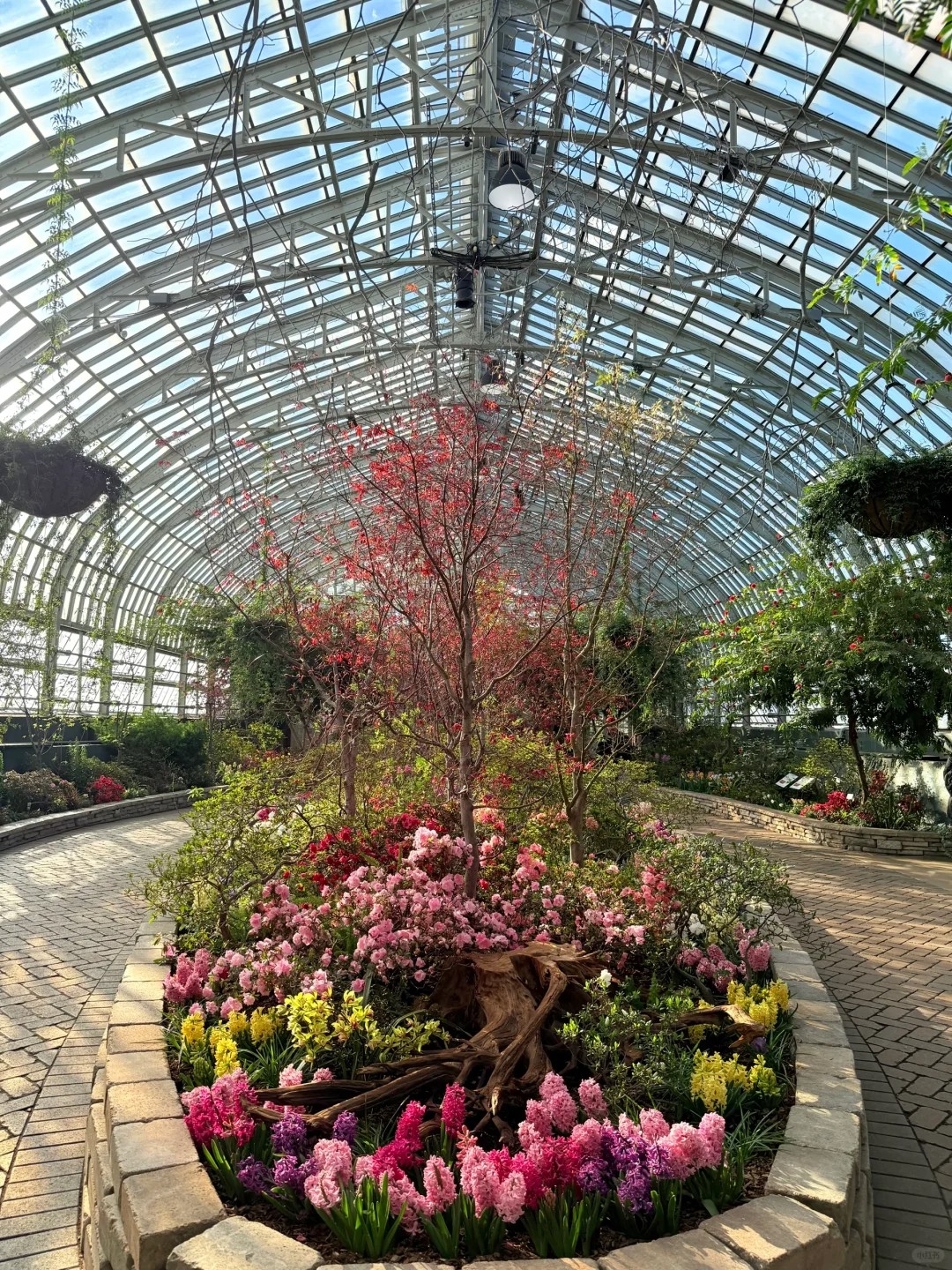 dreamy gardens in Chicago