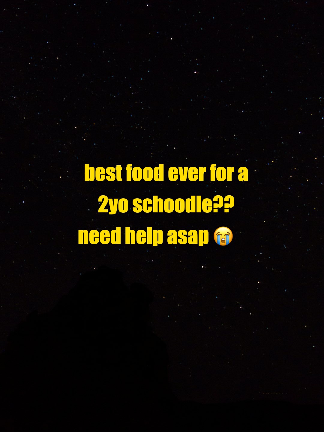 best food ever for a 2yo schoodle?? need help asap 😭