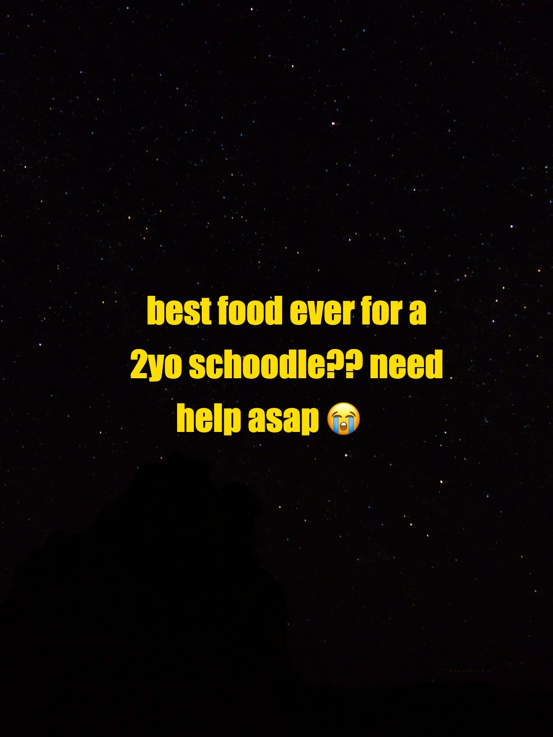 best food ever for a 2yo schoodle?? need help asap 😭