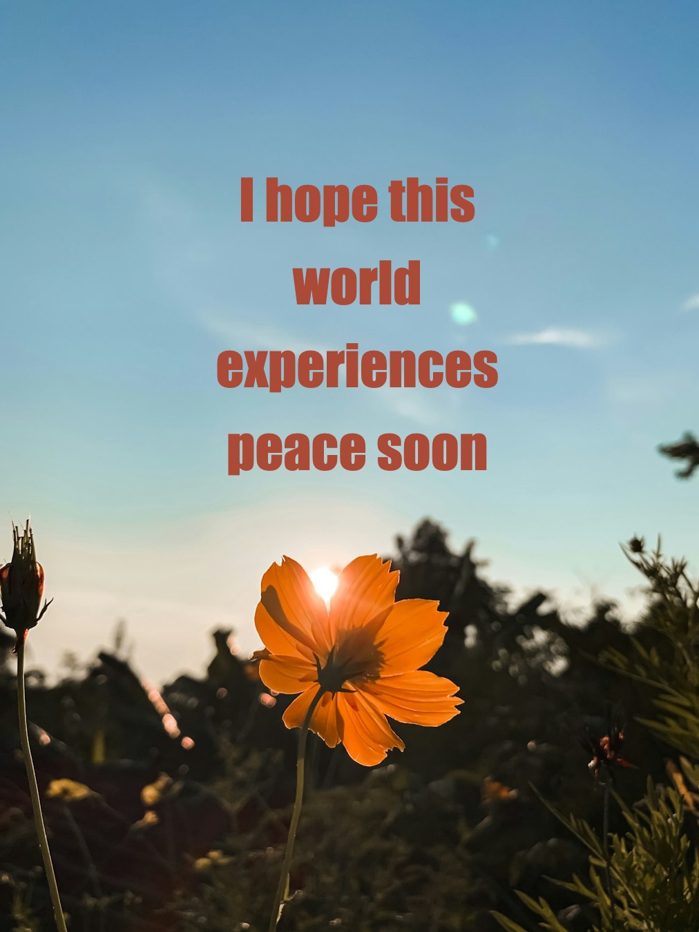 May hearts turn toward healing, not harm.