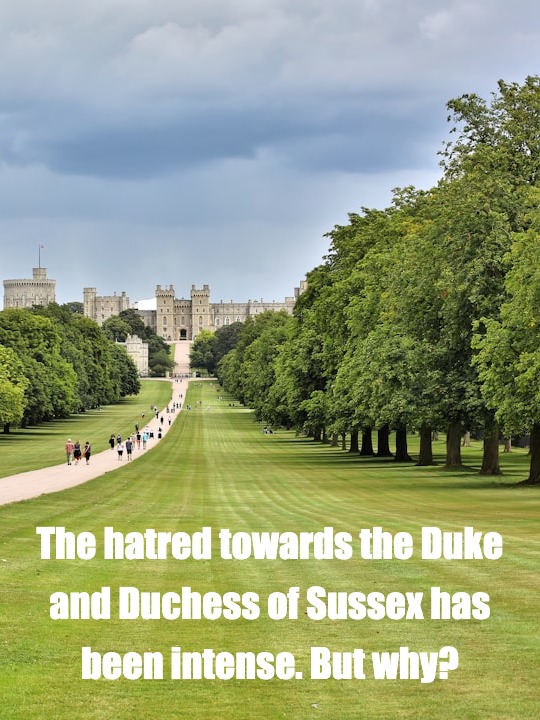 Why do people dislike Harry and Meghan?​