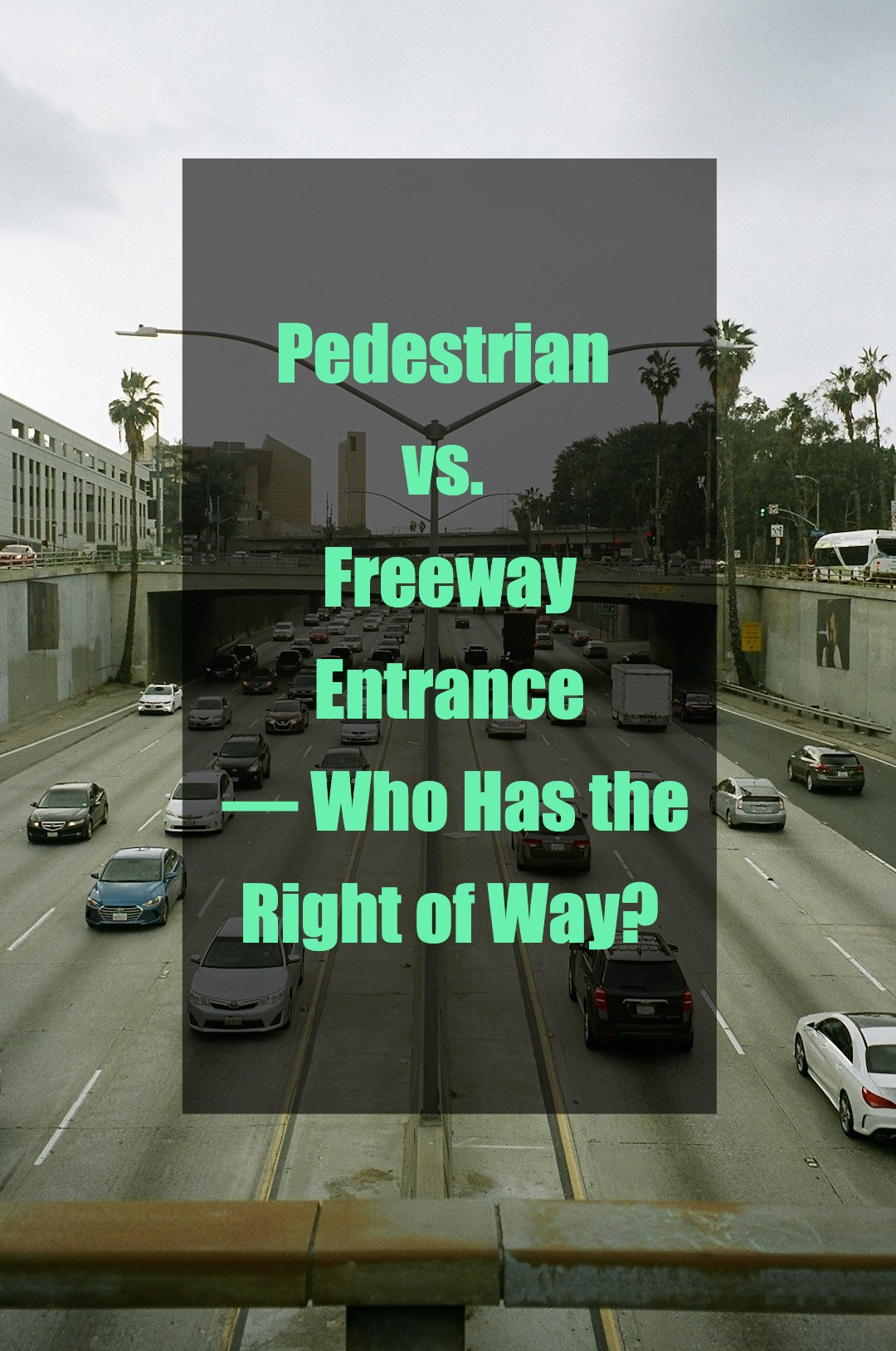 Settling a friendly road rules debate at home!