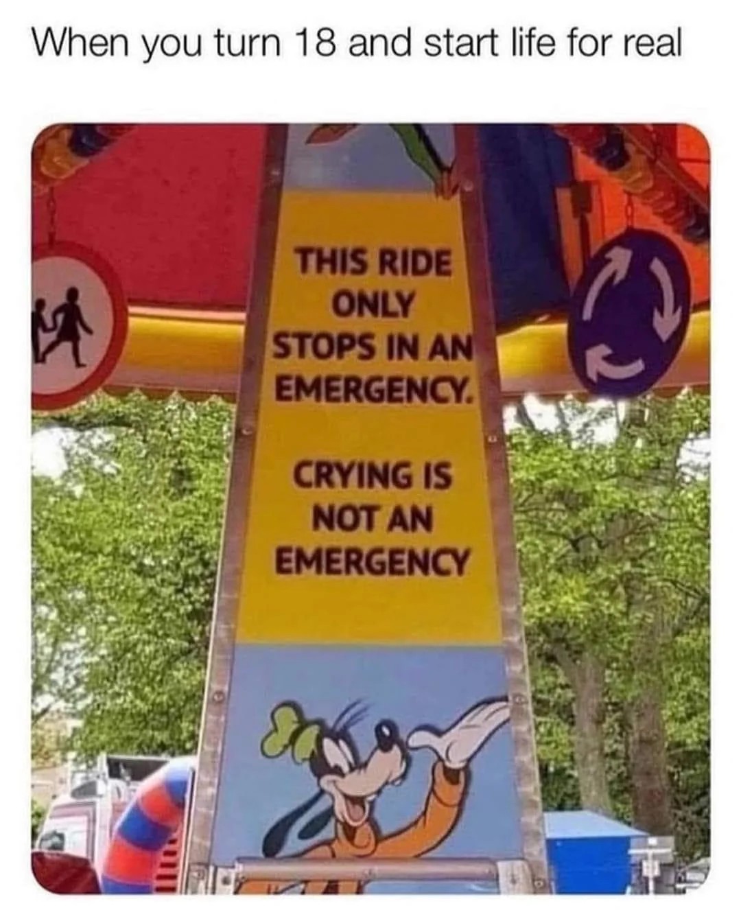 When you get into a car with an Aries