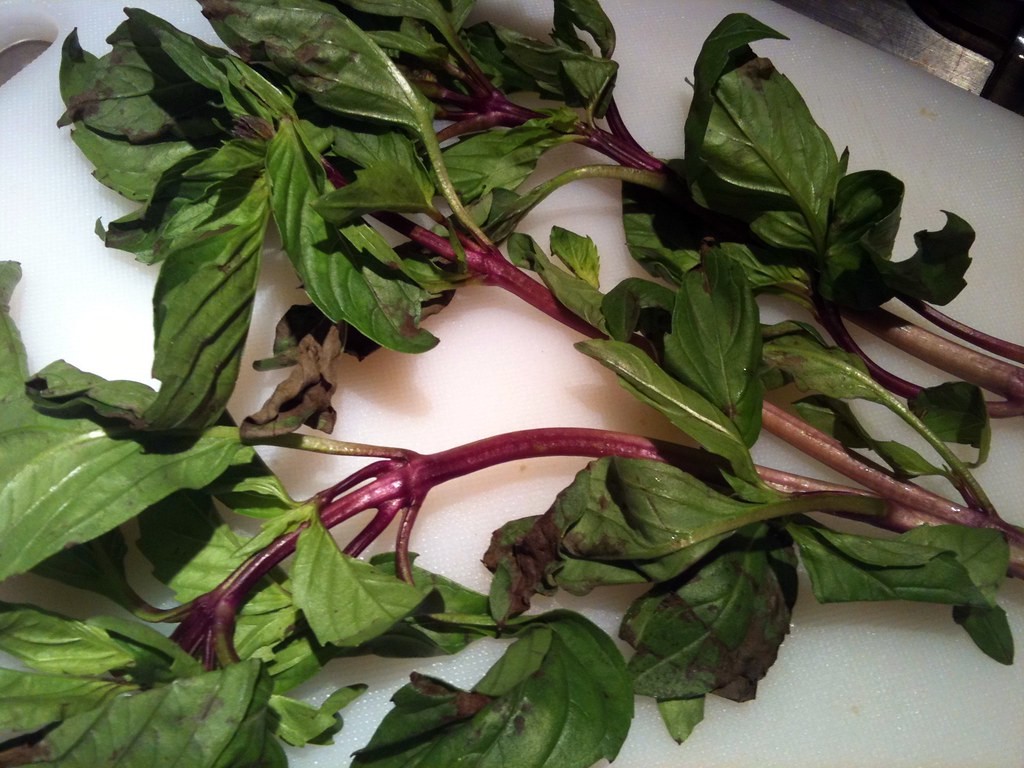 is giving a giant thai basil bouquet romantic or weird??