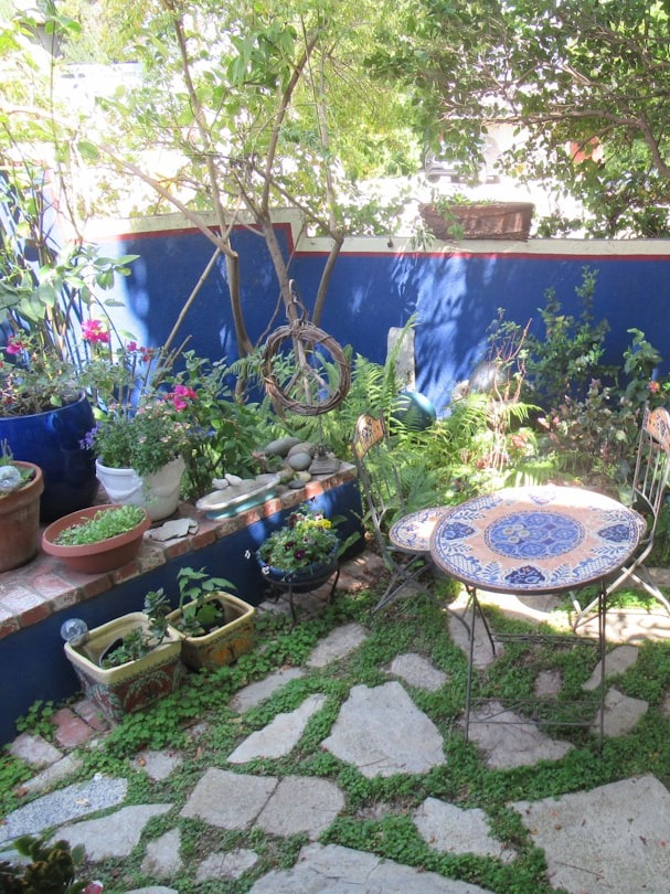 Pop’s 93 years of gardening wisdom on display!