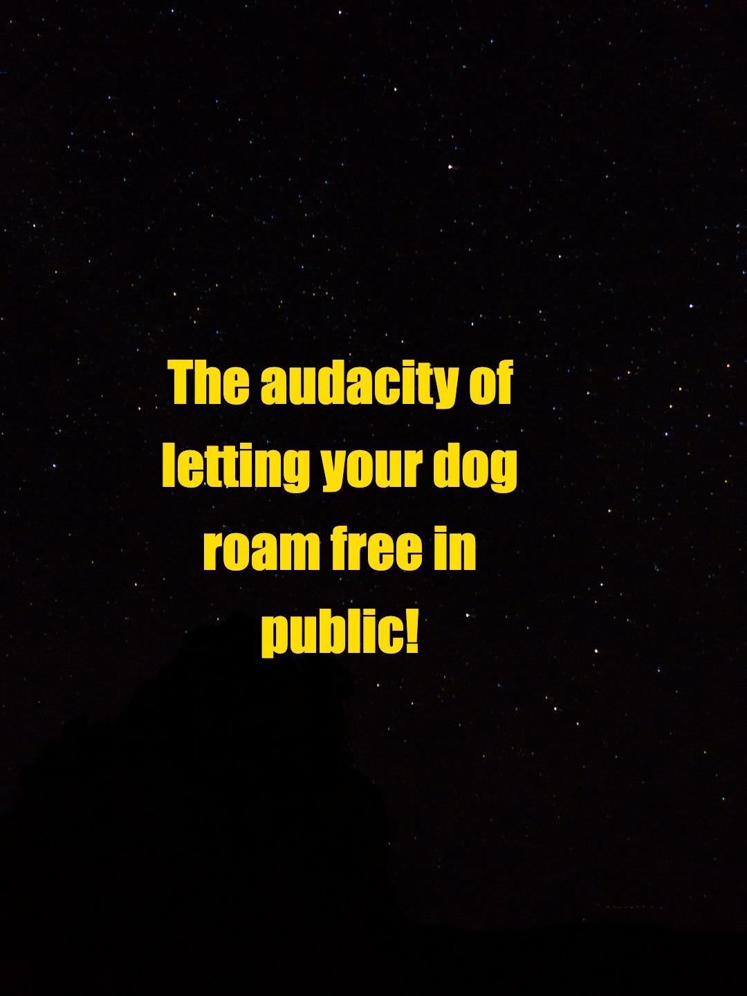 The audacity of letting your dog roam free in public!