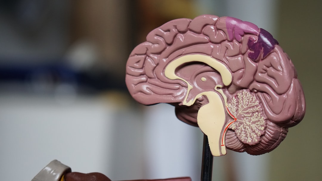 Could Your Gut Health Affect Alzheimer’s Risk?