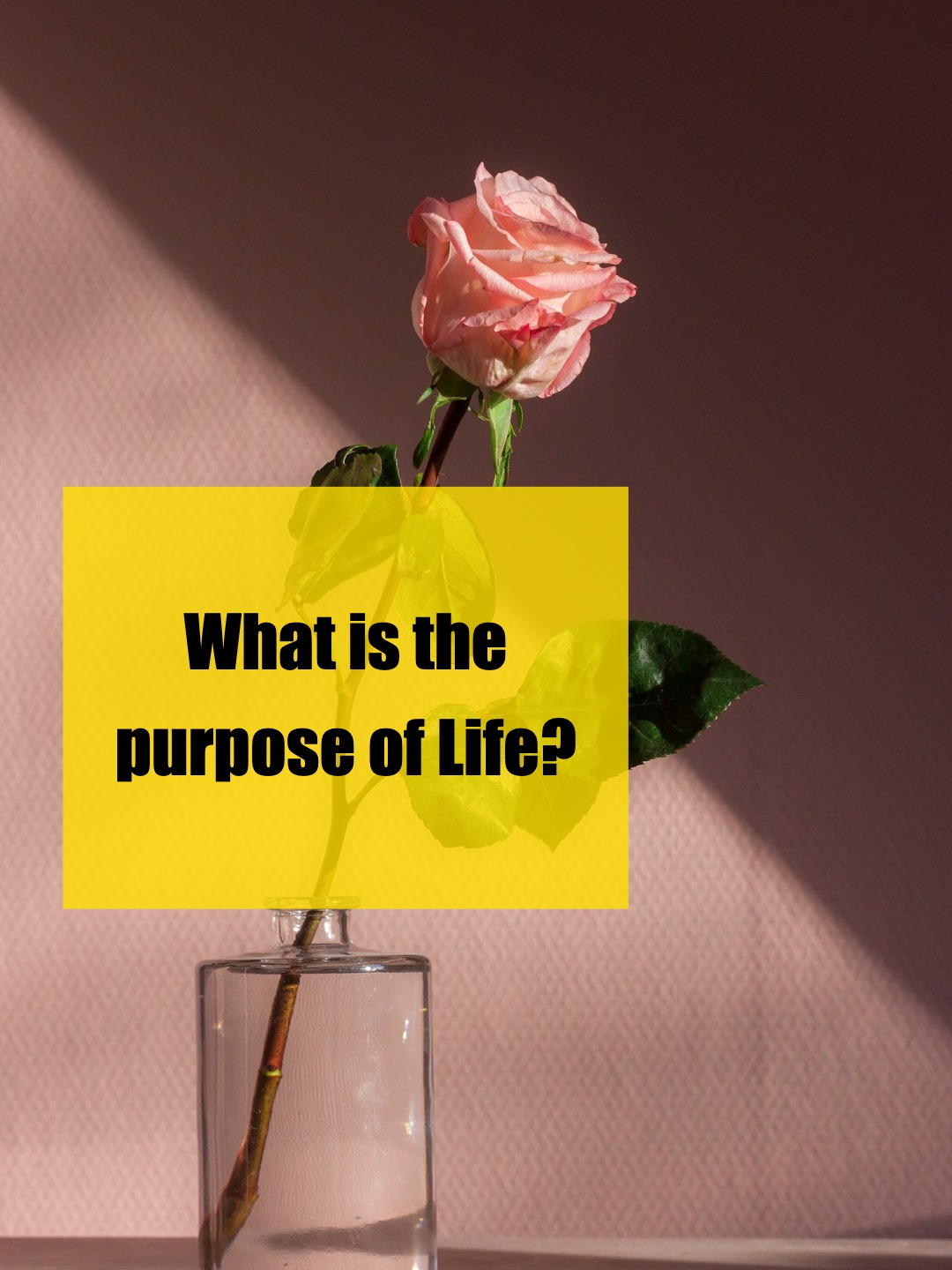 Finding Life’s Purpose Through Parenting Moments
