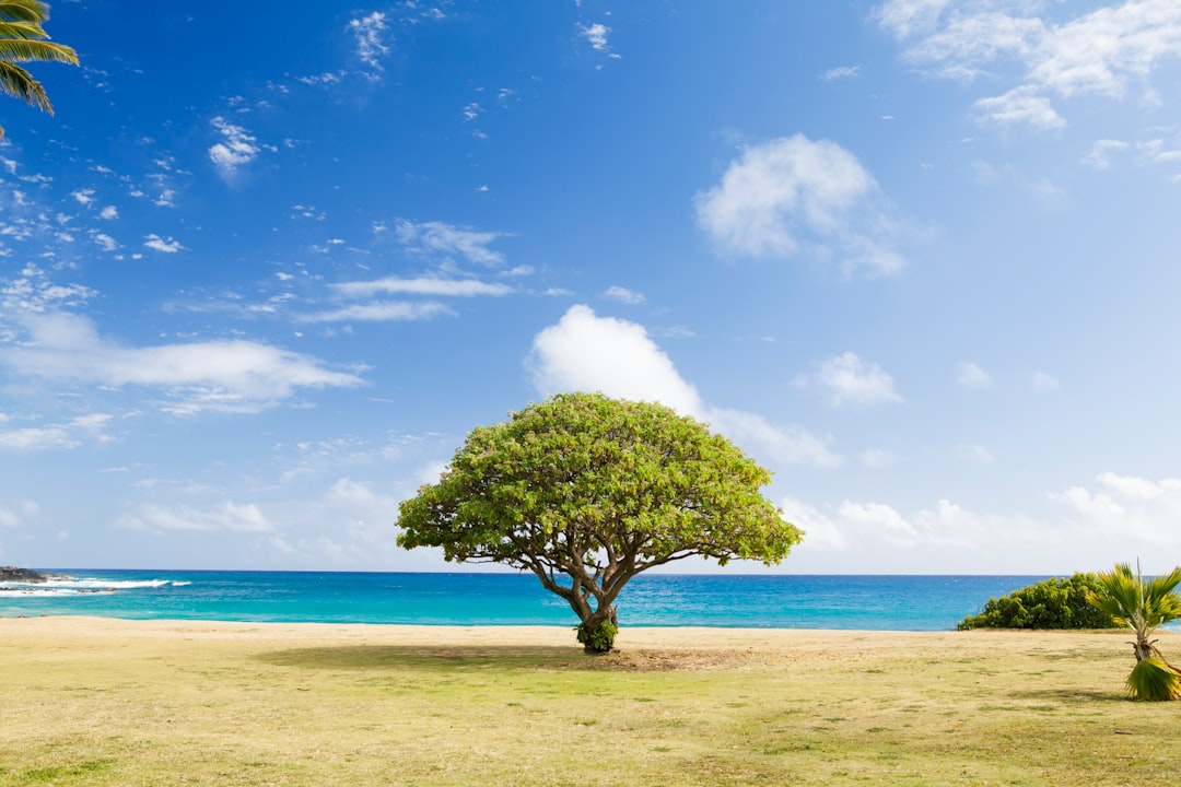 Embracing Solitude: A New Chapter Begins