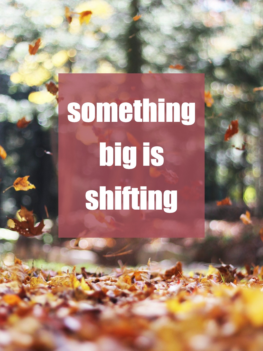 Can You Feel the Shift? Life’s About to Get Amazing