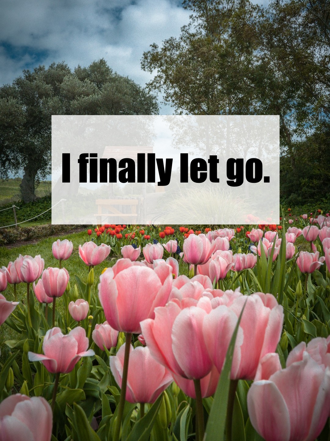 Life After Divorce: Rediscovering Myself and Finding Joy Again