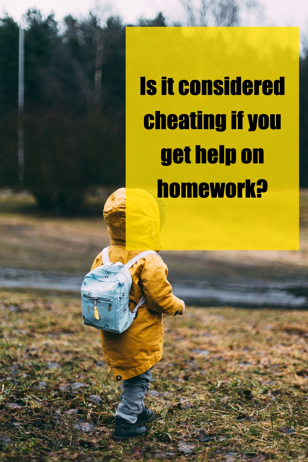 Is It Really Cheating? Navigating Family Rules and Boundaries