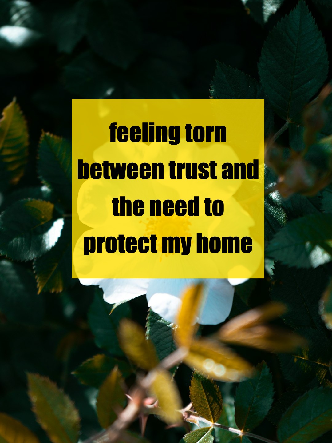 When Family Boundaries Are Tested: Should I Change the Locks?