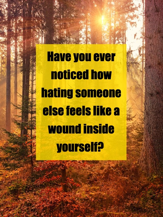 When You Love Yourself, Hate Has No Place