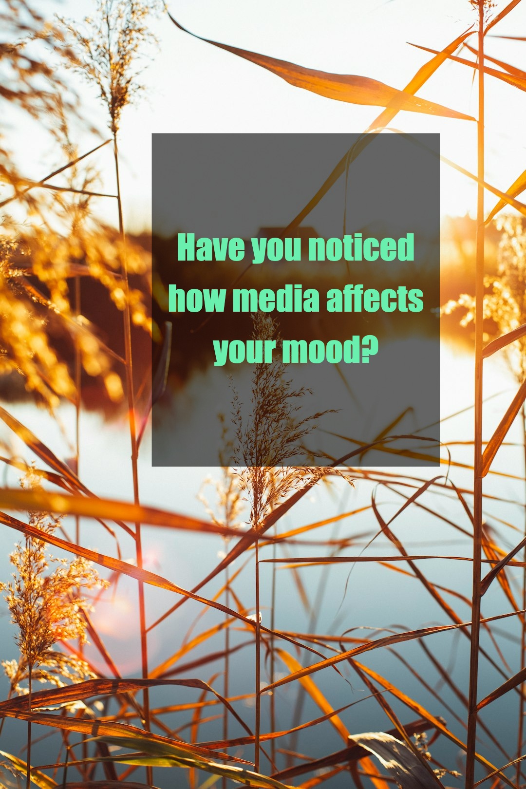 Be Mindful: The Media You Consume Shapes Your Mood