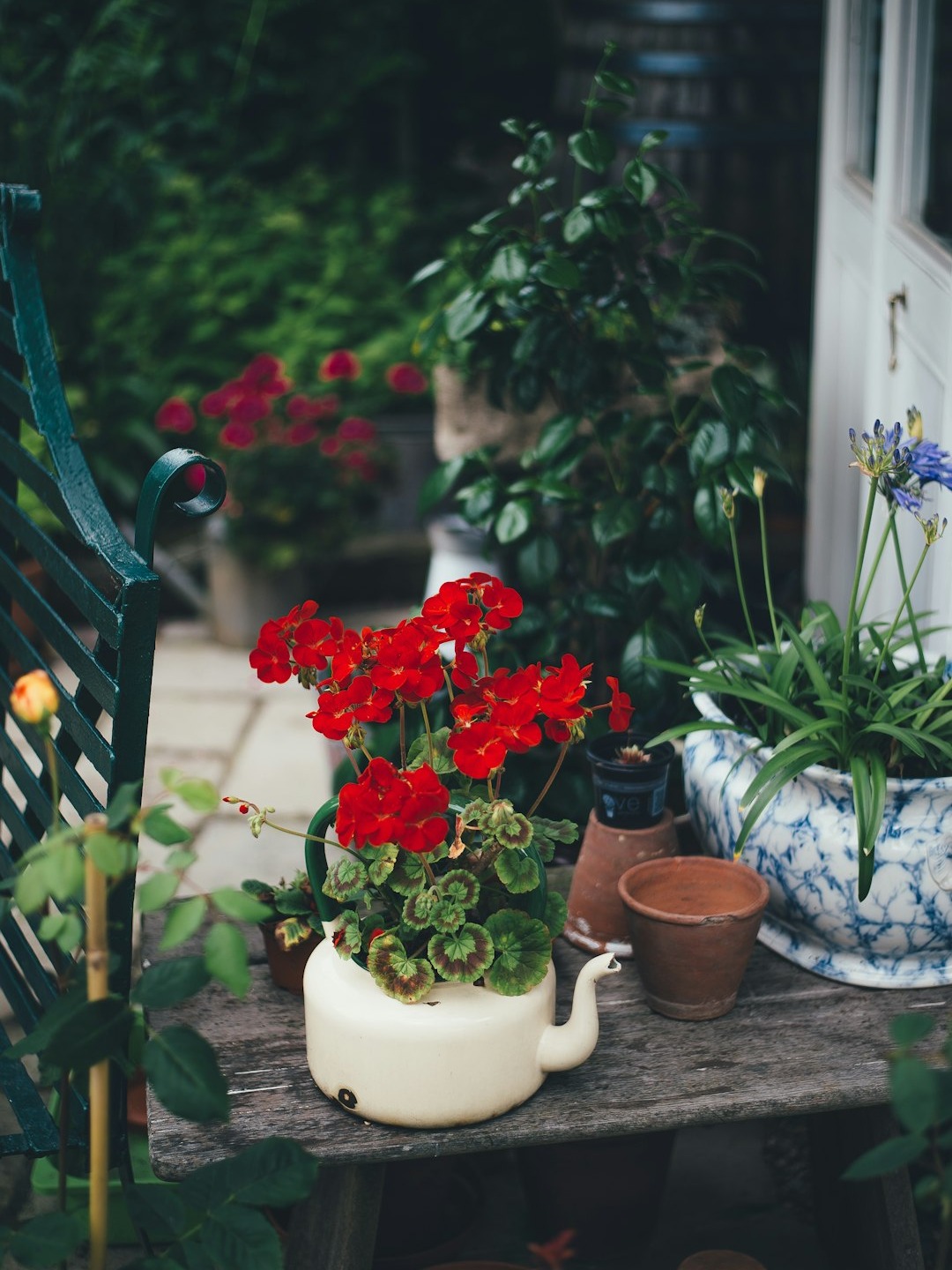 have you ever felt pure joy from getting your hands dirty in the soil?