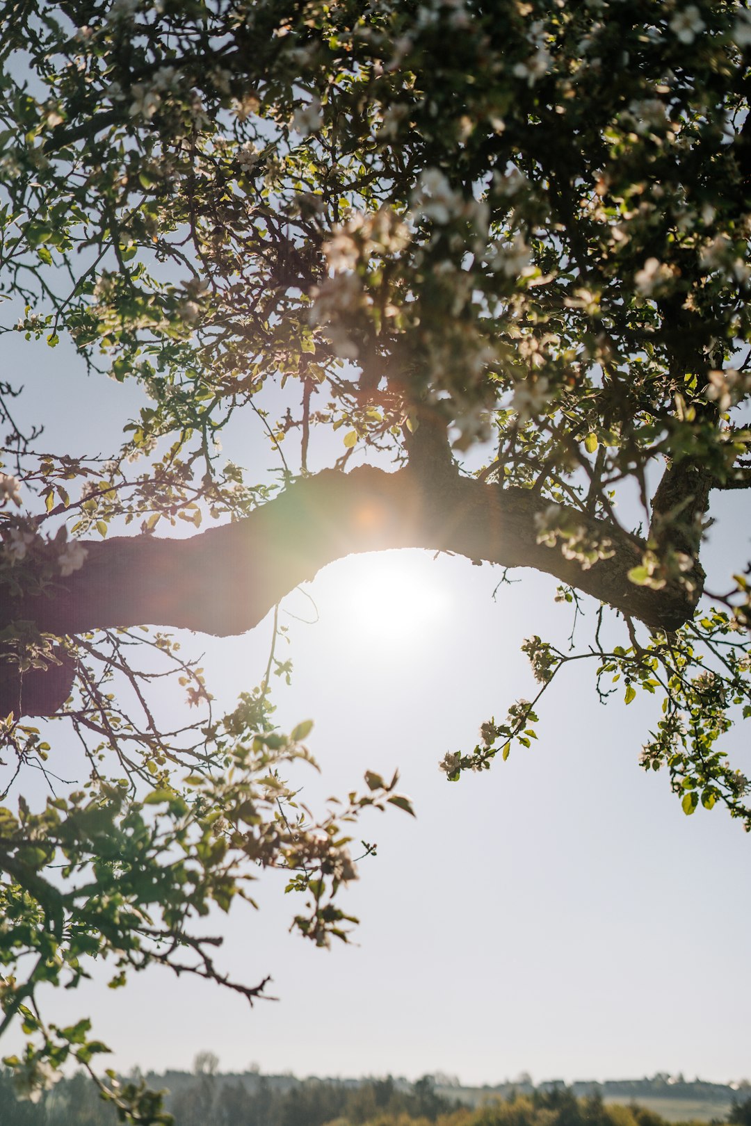 Why Is Spirituality Dismissed in Mental Health Spaces?