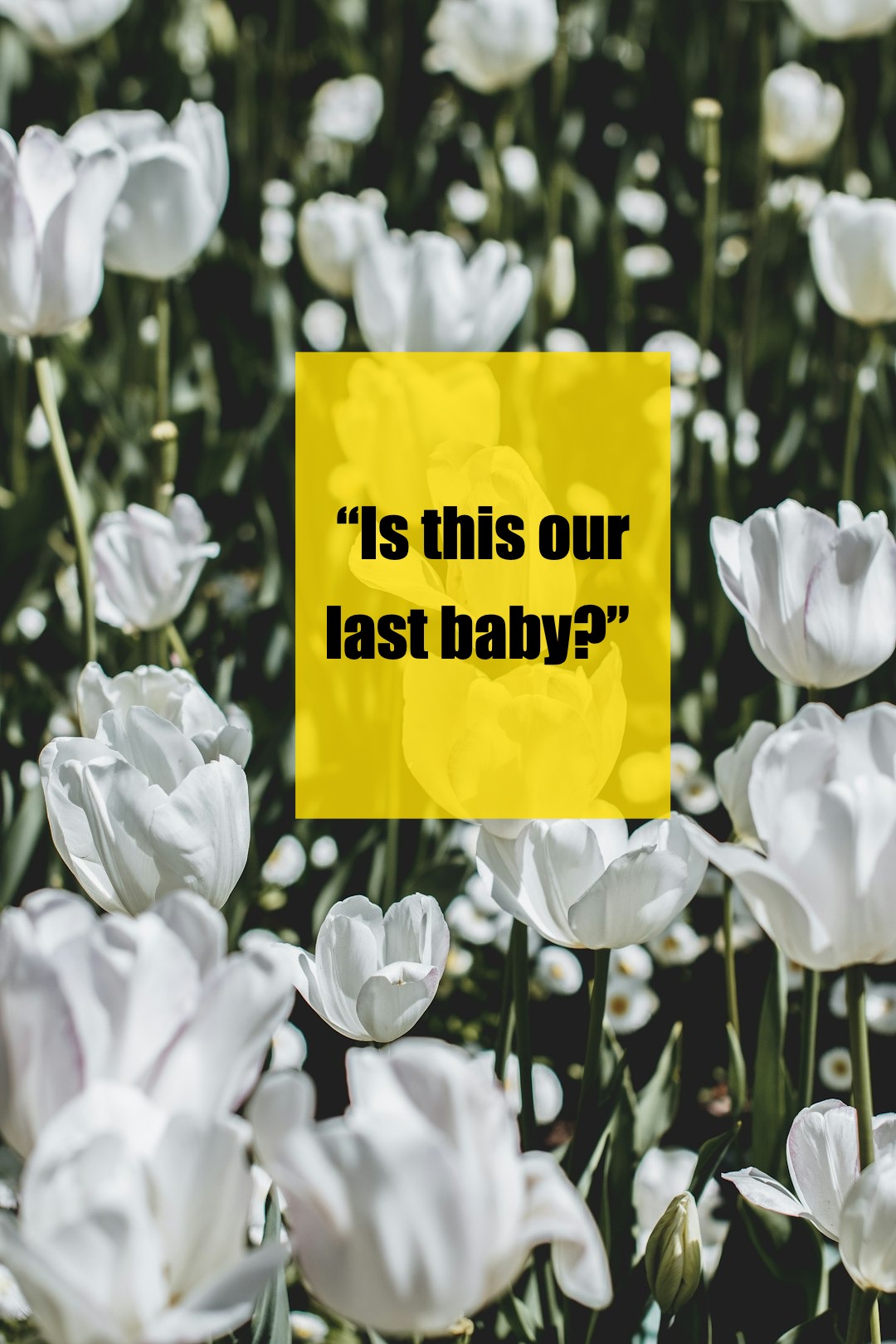 How I Knew Our Family Was Complete: Trusting My Heart’s Whisper