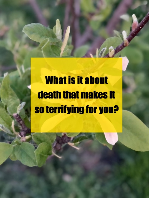 Why Does Death Feel So Far Yet So Frightening?