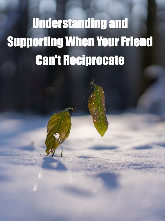 Navigating Friendship with an Emotionally Distant Friend