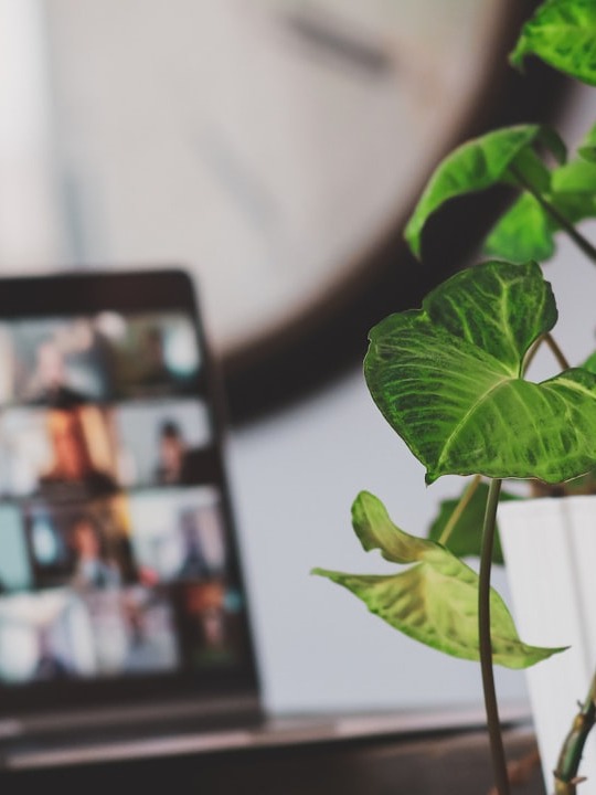 Finding Joy in Remote Work: Is Anyone Else With Me?