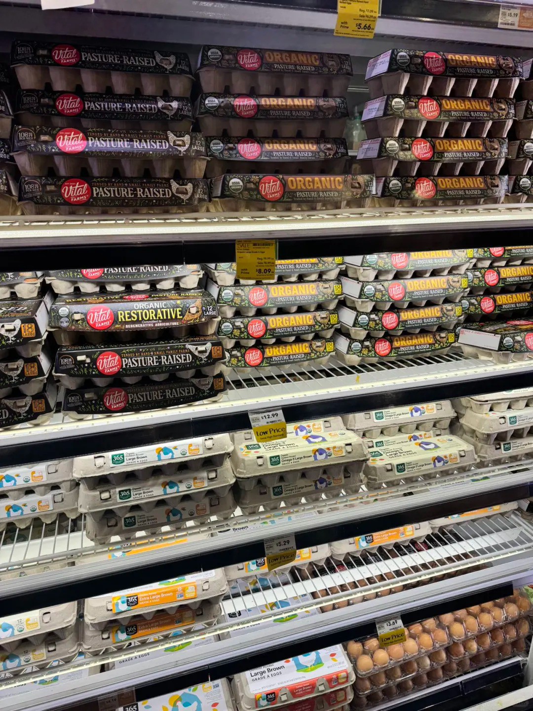 🥚 Decoding the Egg Industry Lingo: A Guide for the Savvy Shopper