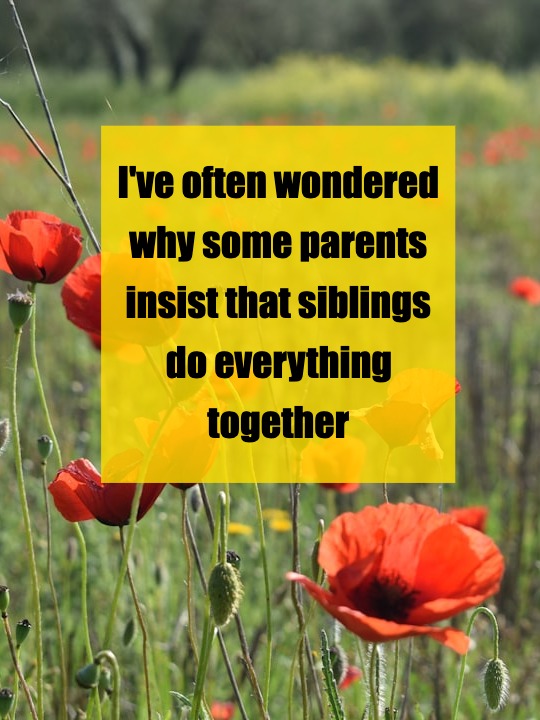 Should Siblings Always Stick Together? My Thoughts as a Parent
