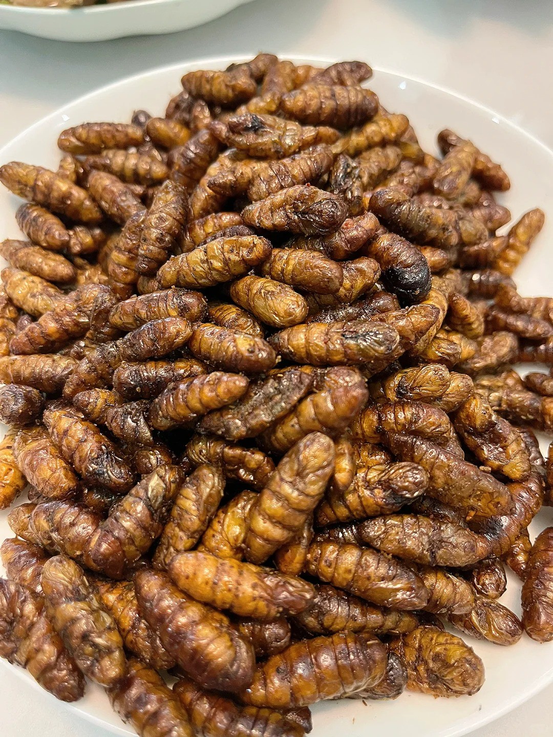 Cicadas: Crunchy Surprise