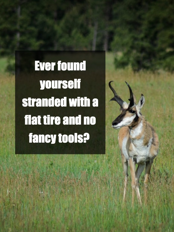 DIY Tire Removal: My Unexpected Roadside Adventure