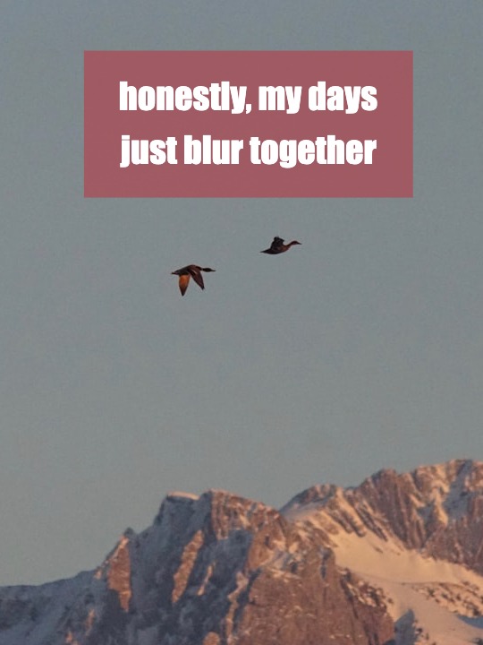 Feeling Stuck at 20: Is Anyone Else Just Existing, Not Living?