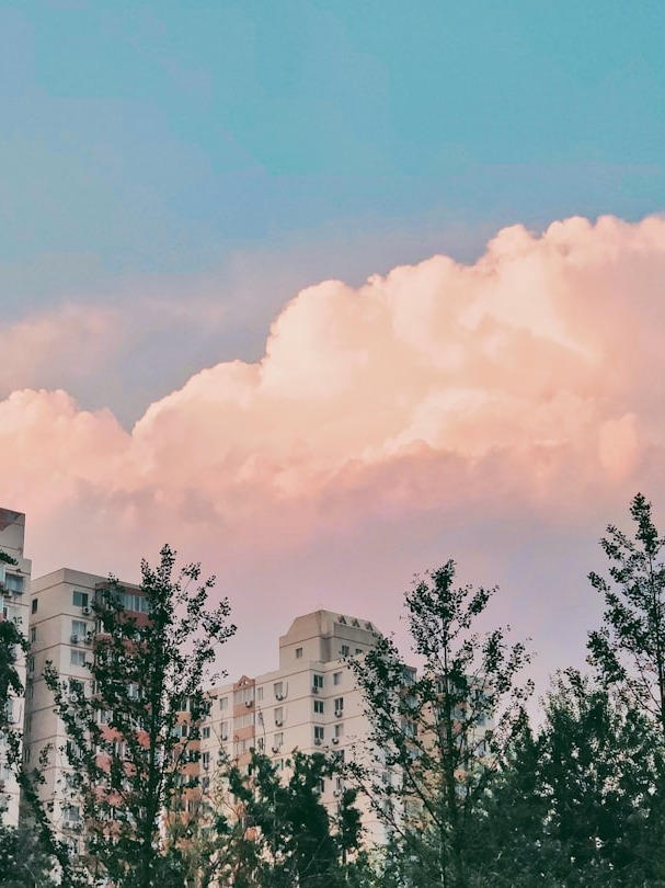 How Do You Survive When Loneliness Feels Endless?