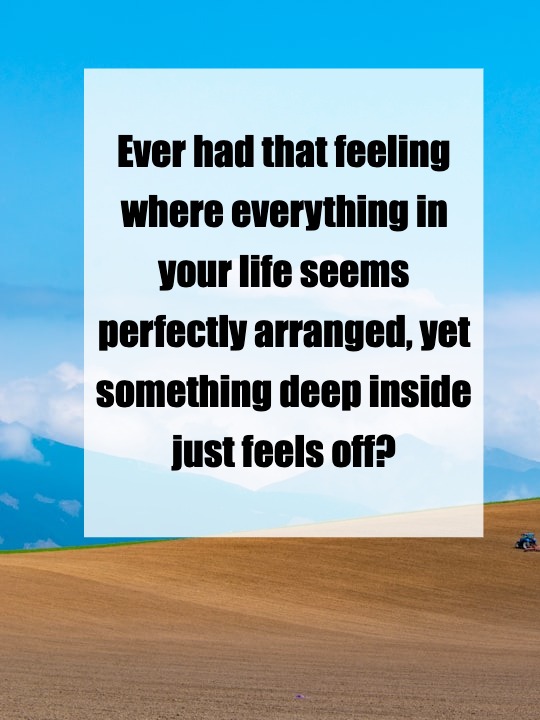 When Everything Fits, But Nothing Feels Right