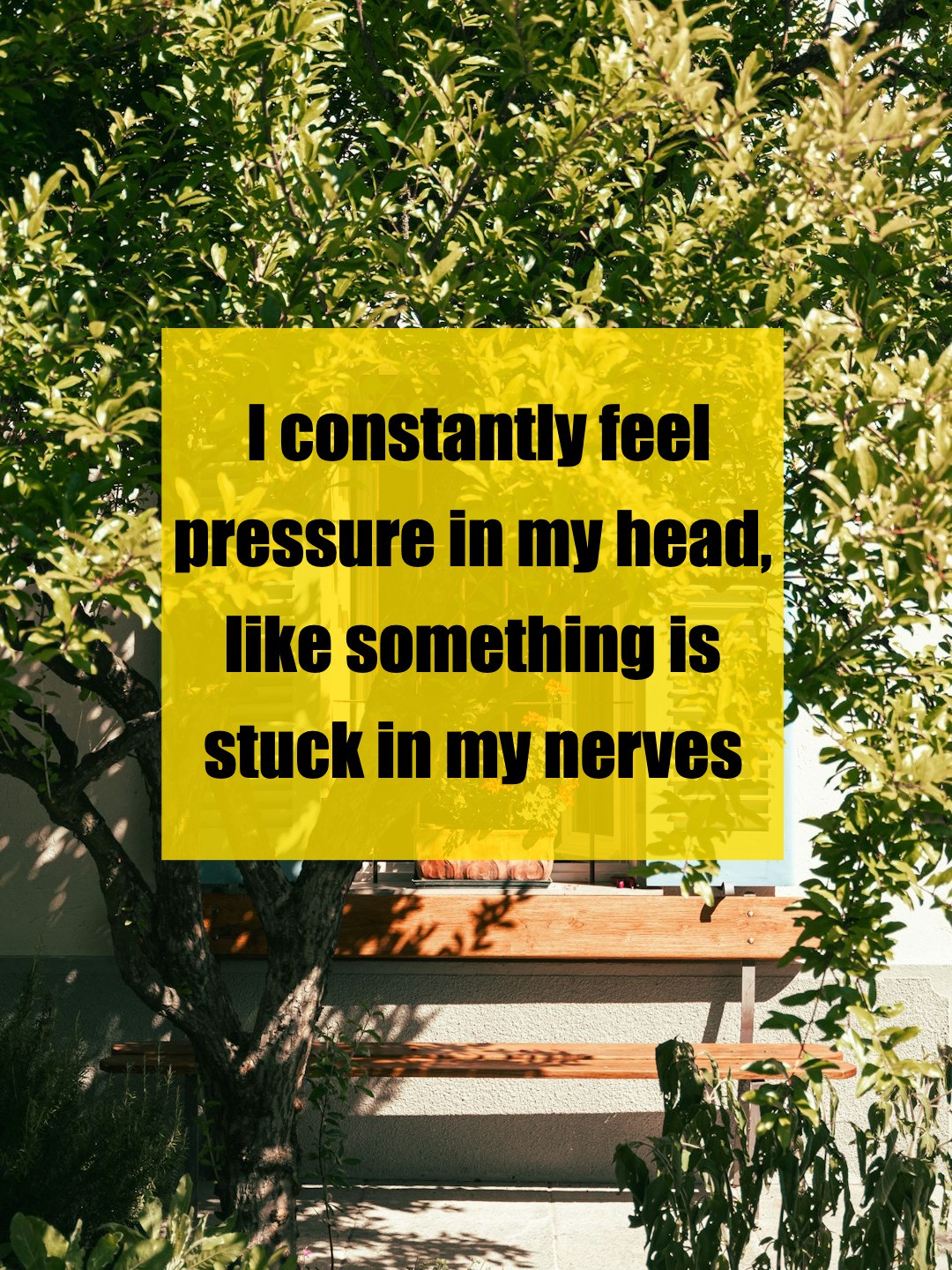 Struggling With Meditation: Seeking Guidance and Support