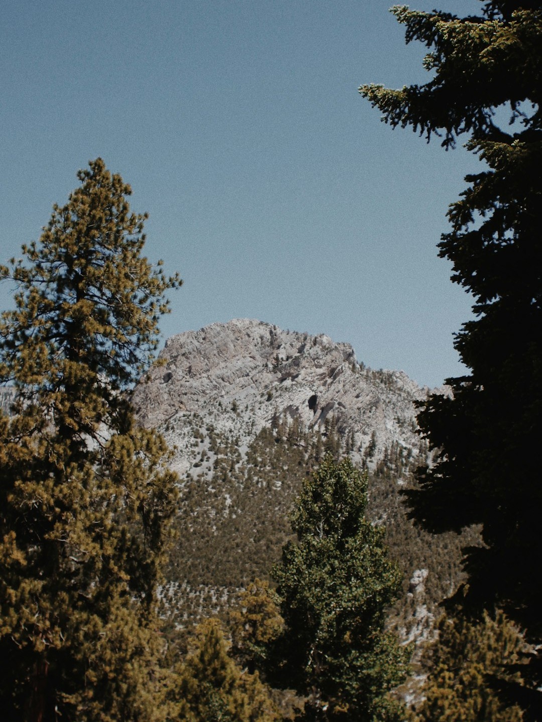 is las vegas just casinos or is mount charleston’s waterfall the real jackpot?