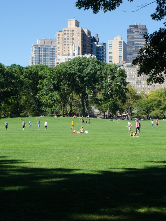 if you could only pick one nyc spot, which would it be and why is it central park?