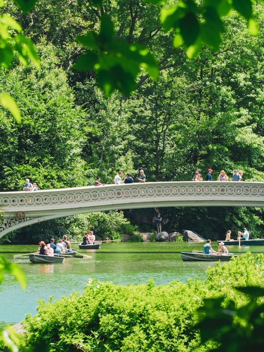 if you could only pick one nyc spot, which would it be and why is it central park?