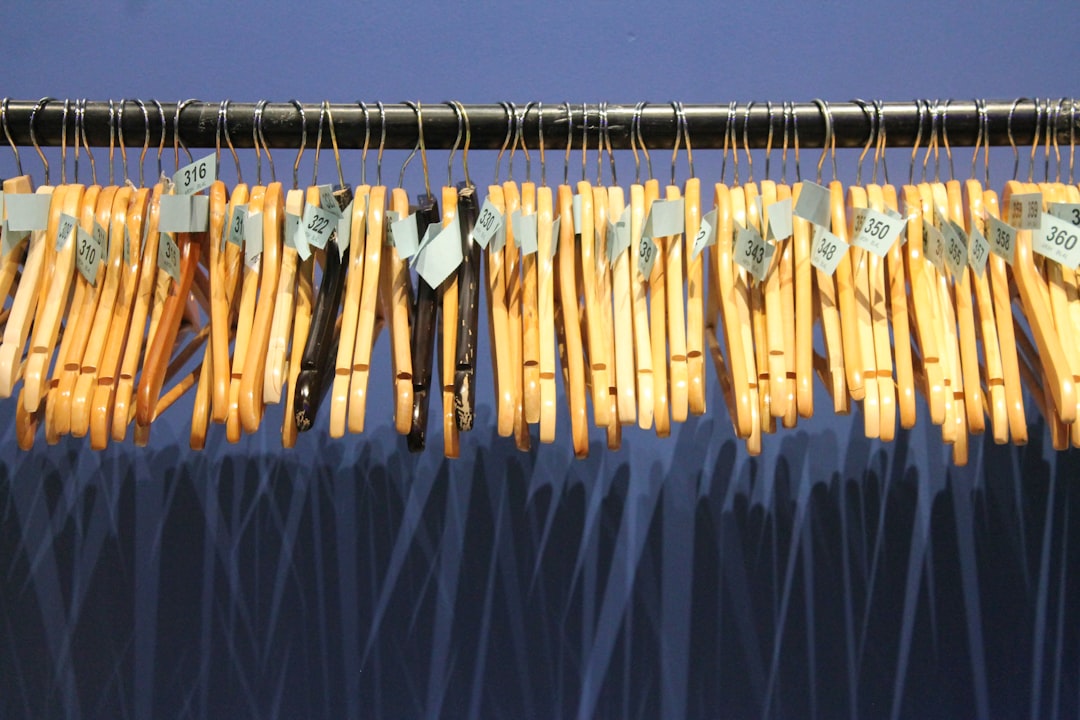 Are Cheap Wooden Hangers the Secret to a Dream Closet or Just Hype?