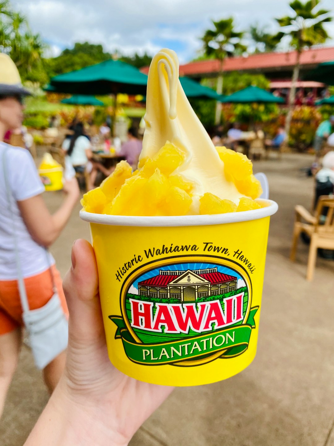 can you really do a full hawaii trip for under $1500?