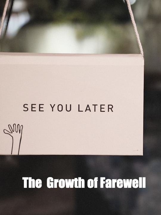 Saying Goodbye to a Best Friend Who’s Moving Away
