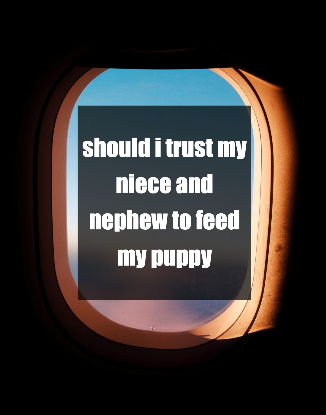 should i trust my niece and nephew to feed my puppy or am i setting myself up for chaos?