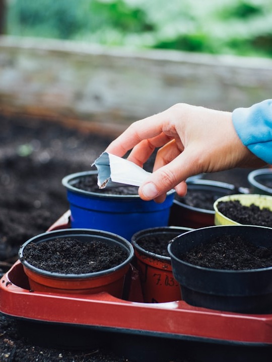 is it just me or does digging in the dirt make life brighter?
