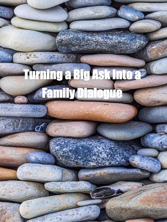 Winning Your Parents’ Trust: The Car Conversation