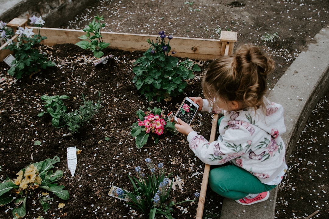 is it better to start with tiny seeds or jump in with baby plants?