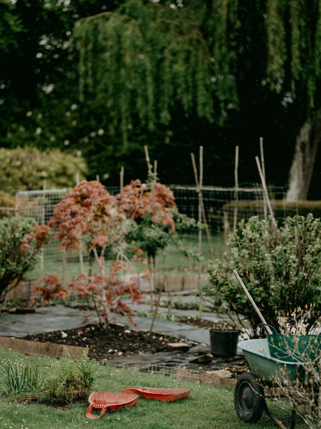 why does picking the perfect veggie for my garden feel epic?