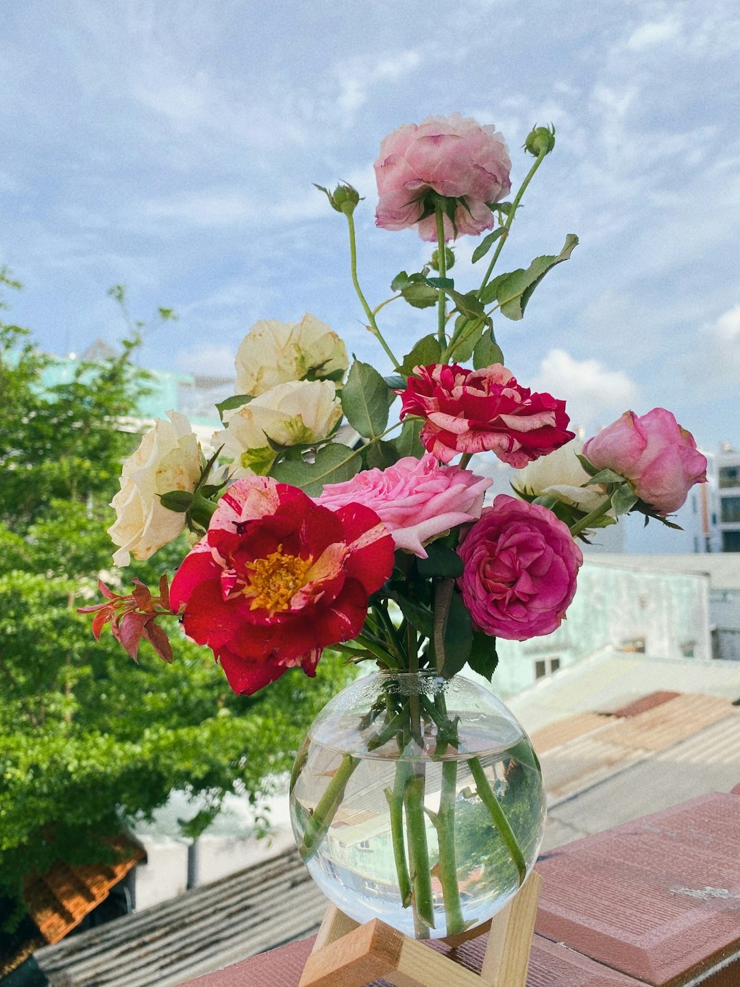 did i really wait six months for these lisianthus blooms?