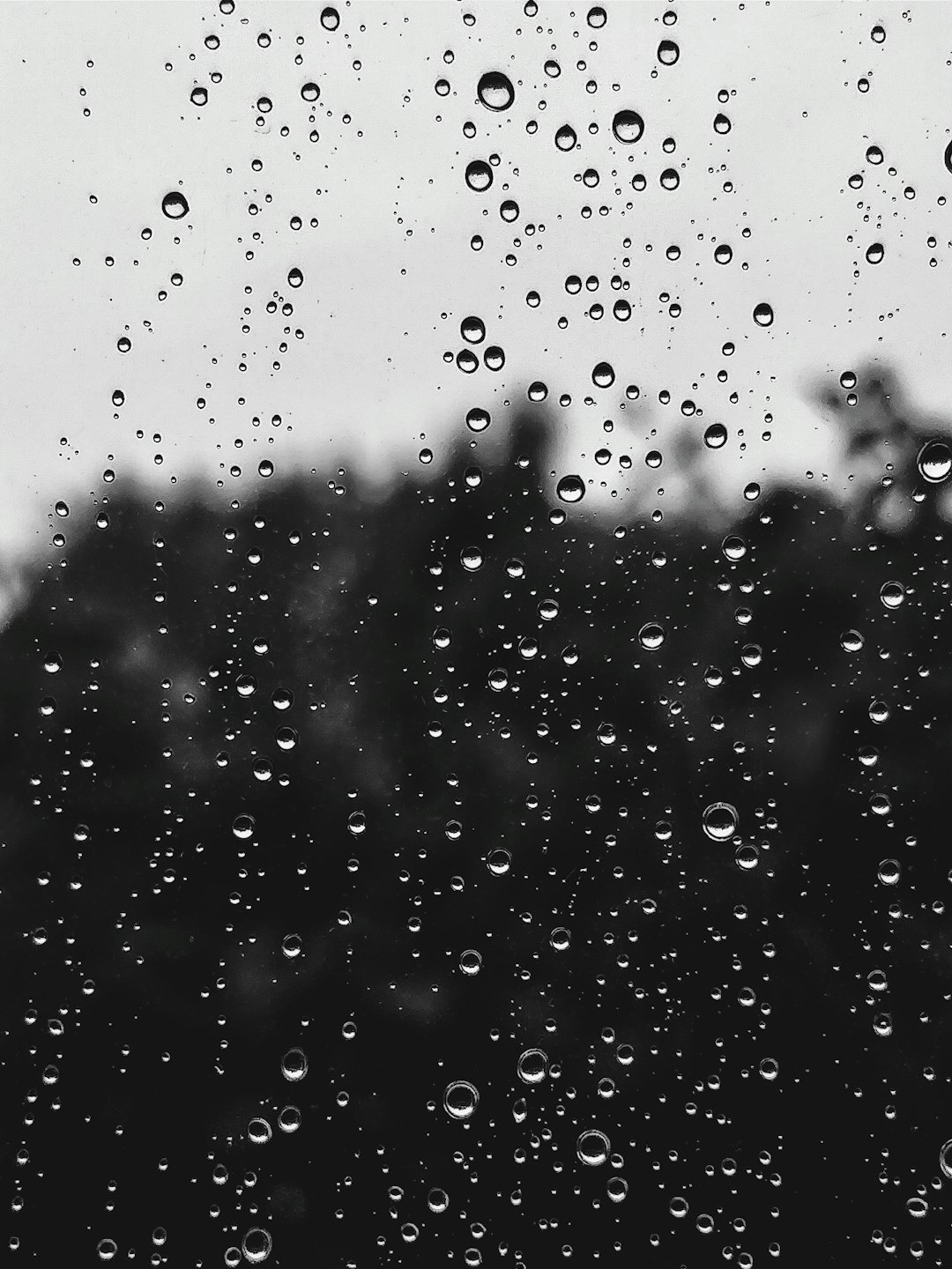 Seventeen Days Without My Son: Navigating Unimaginable Loss