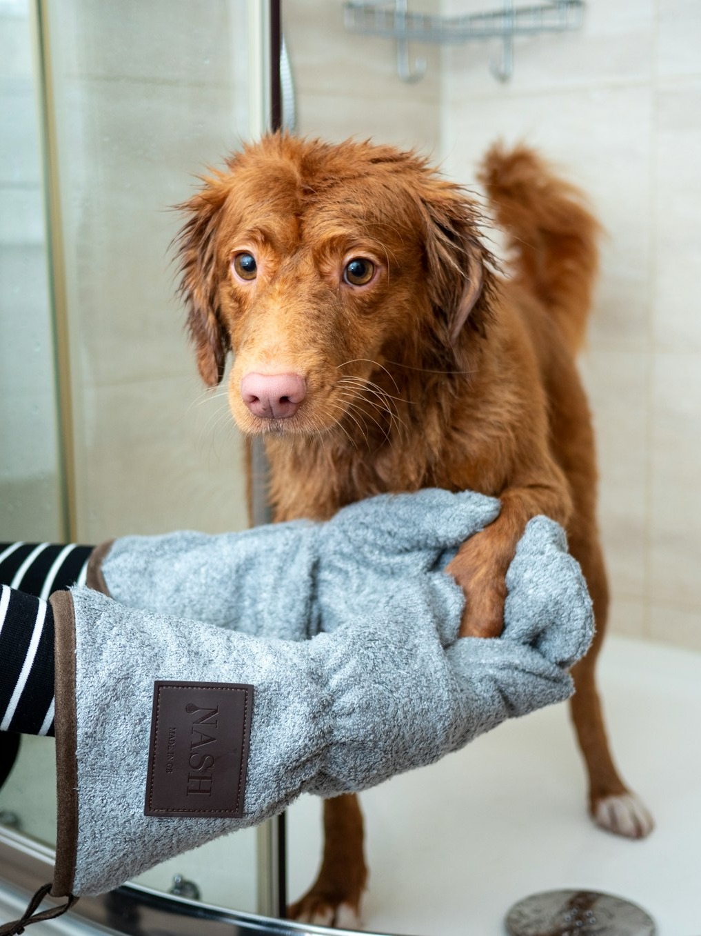 why did my puppy freak out during his first bath?